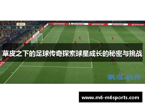 草皮之下的足球传奇探索球星成长的秘密与挑战